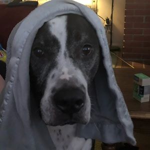 Meet your Posher, Jaclyn